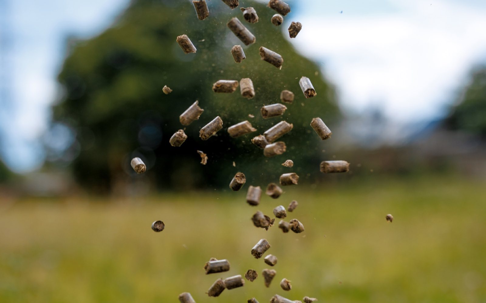Grass pellet fertiliser